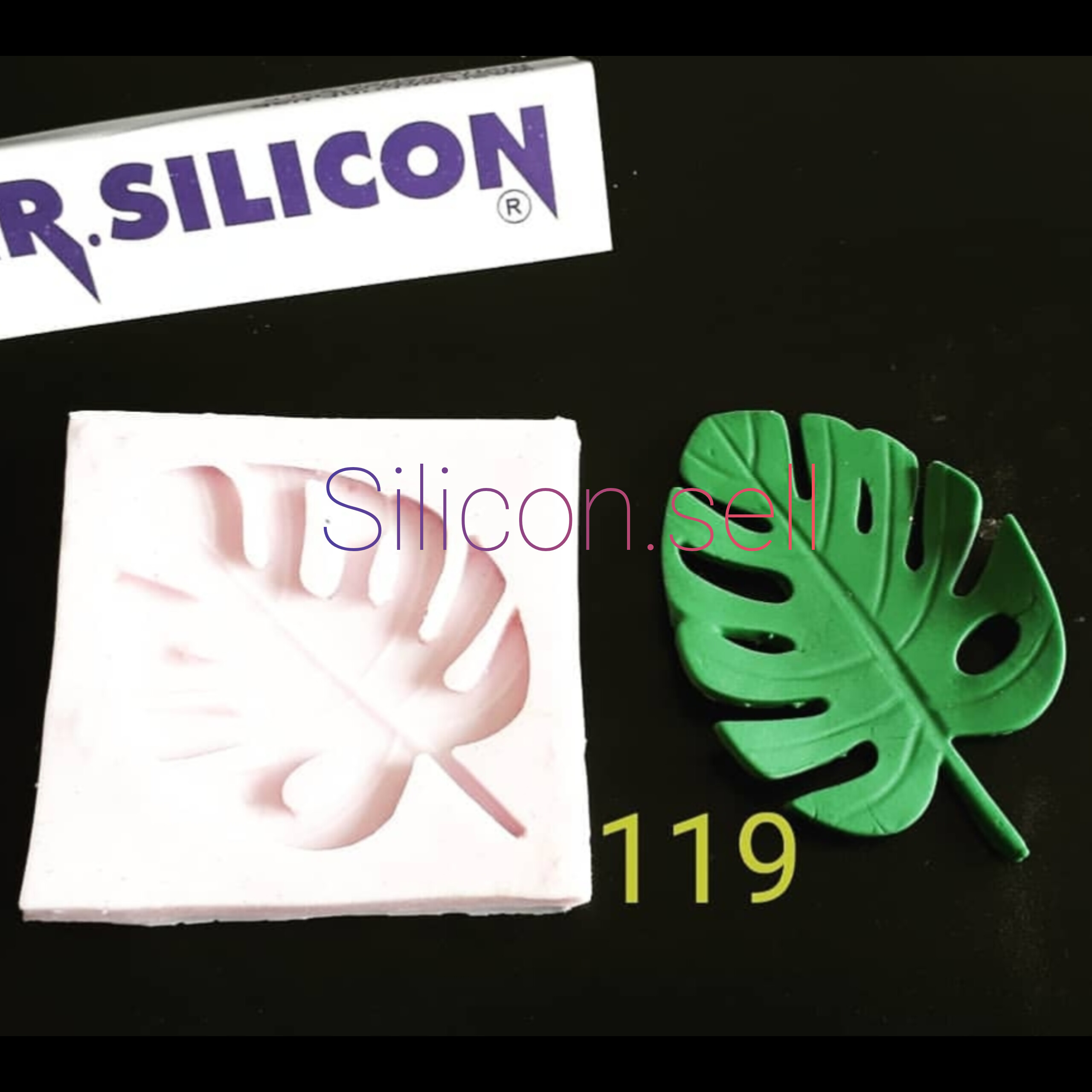 کد ۱۱۹ ـ مولد برگ انجیری